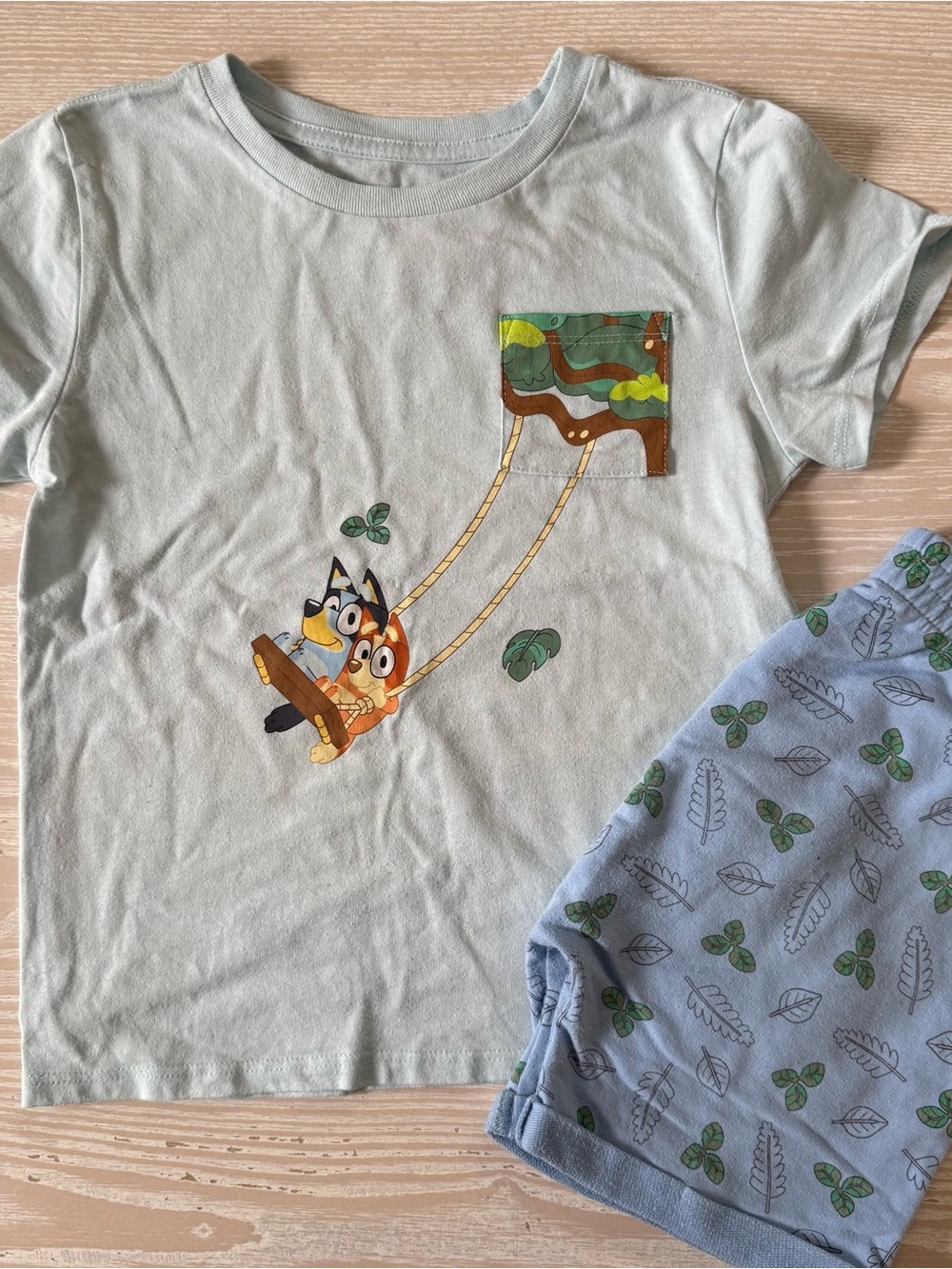 Bluey Kids Graphic T-Shirt and Shorts set